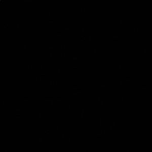 Meet your Posher, Conor